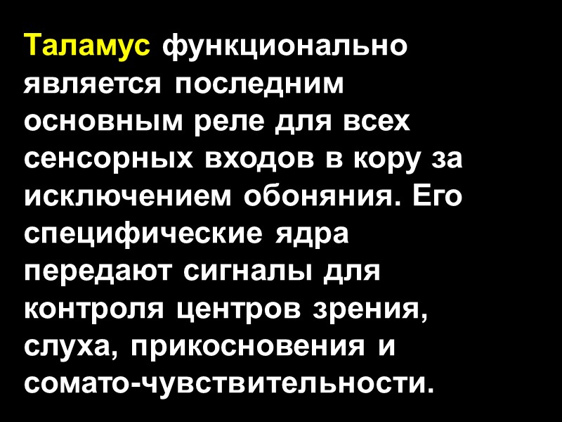 Таламус функционально является последним основным реле для всех сенсорных входов в кору за исключением